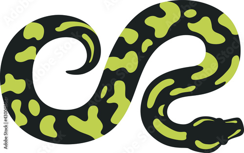 Top View of Ball Python Simple Flat Design