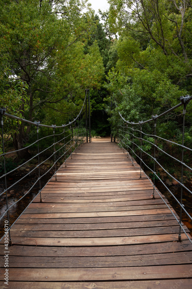 Beautiful hanging wooden bridge in the forest