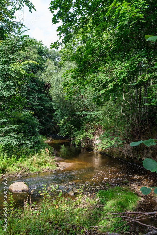 Fototapeta premium slow forest river in summer green woods with rocks in stream