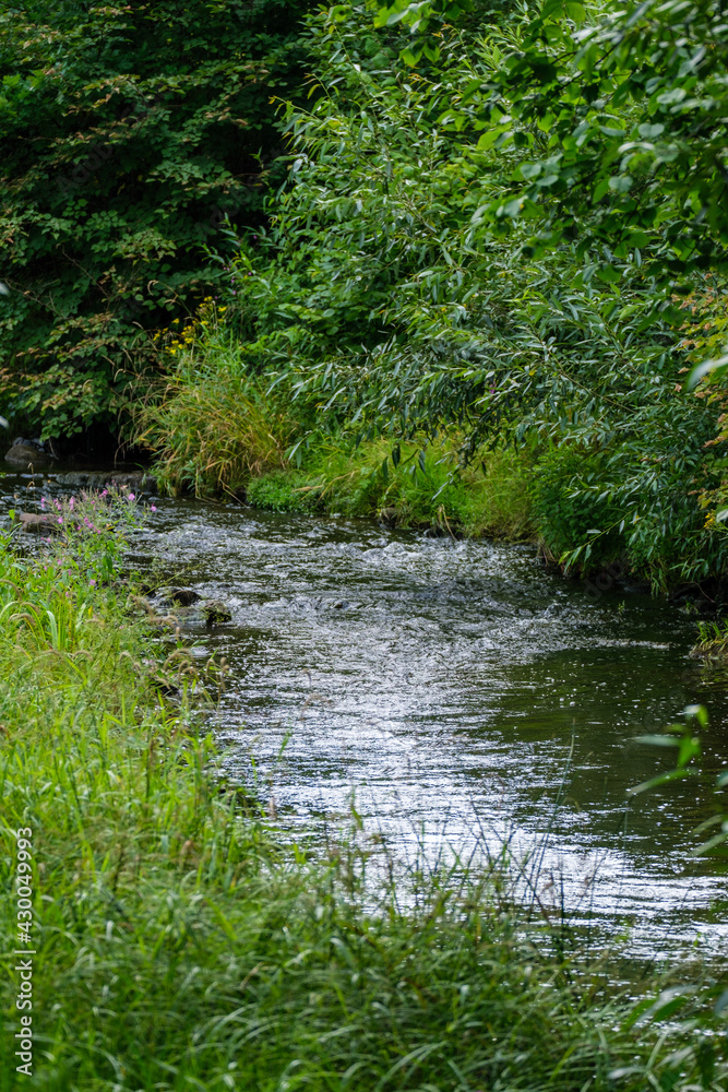 Obraz premium slow forest river in summer green woods with rocks in stream