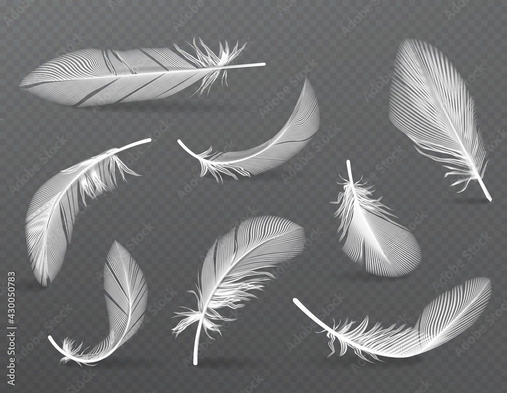 Soft feather