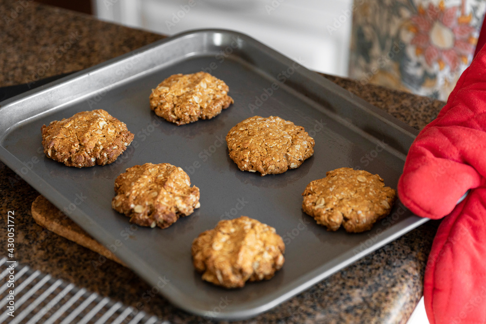 Freshly baked Anzac biscuits on baking tray. Freshly baked Anzac biscuits on baking tray.