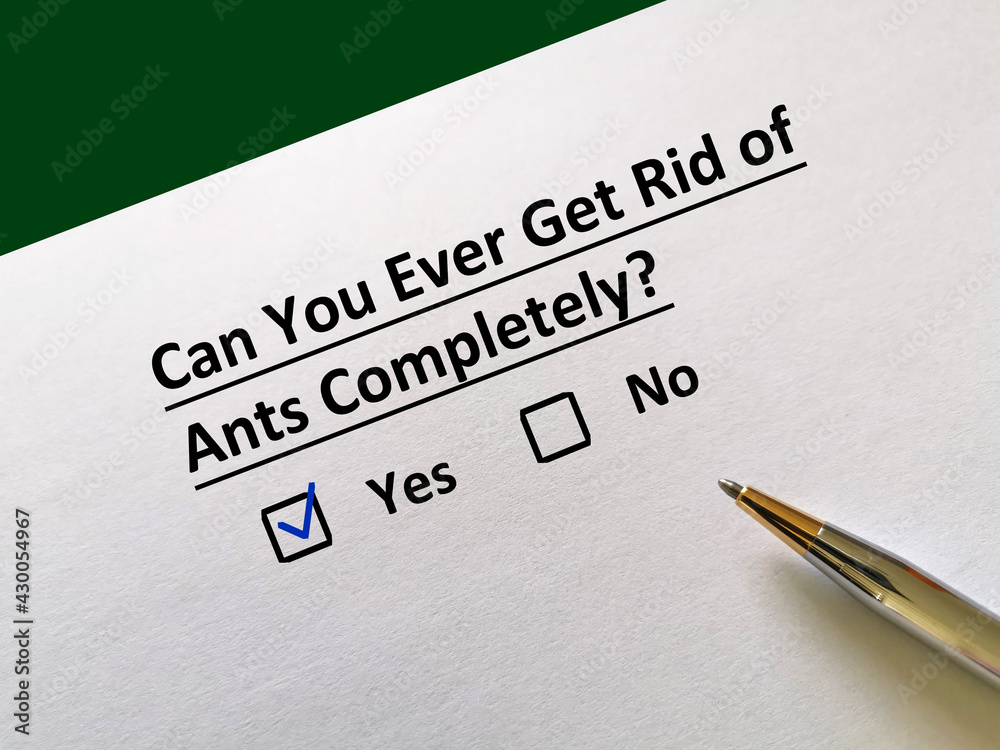 Questionnaire about insects Questionnaire about insects