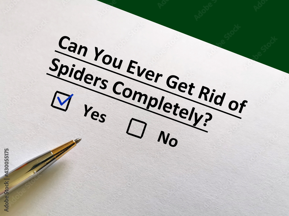 Questionnaire about insects Questionnaire about insects