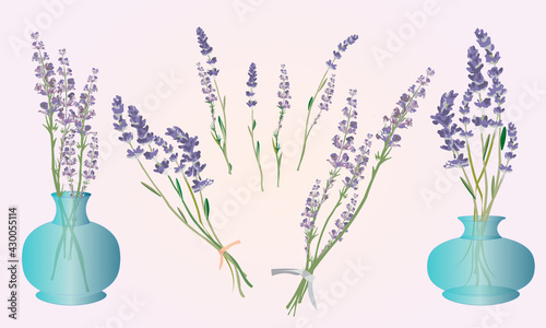Lavender Flowers Vector Elements (ID: 430055114)