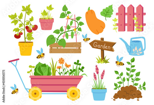 Gardening tools cartoon set. Fence, vegetable seedlings and rubber wooden arrow pointer. Equipment work tool for farming cultivating. Hand drawn farm vector illustration
