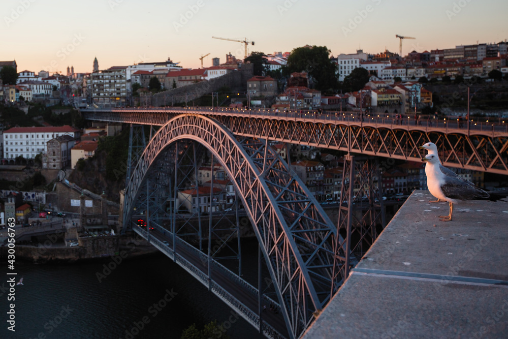 Top view of Douro river and Dom Luis I bridge at twilight, Porto, Portugal.