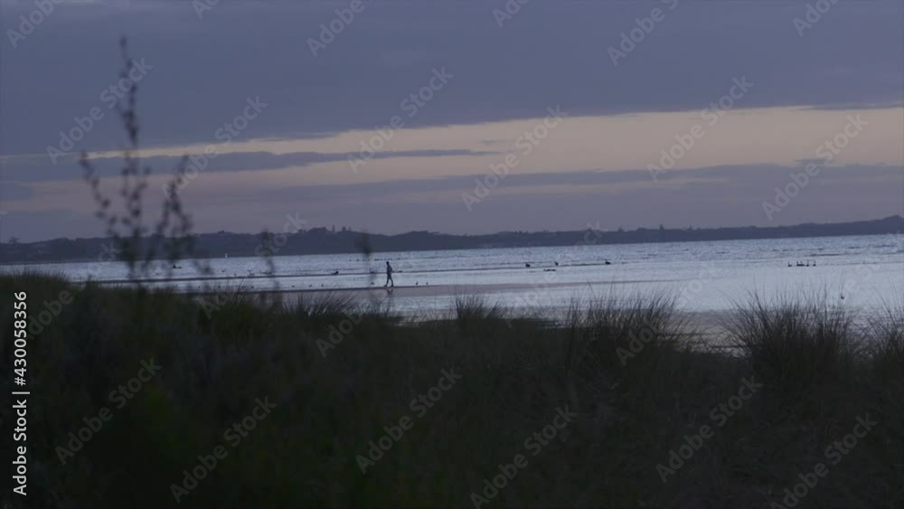 Looking through long grass as a silhouette of a person walking along a sandbank on a lake or bay on the outgoing tide. Looking through long grass as a silhouette of a person walking along a sandbank on a lake or bay on the outgoing tide.