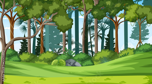 Forest landscape scene at day time with many different trees