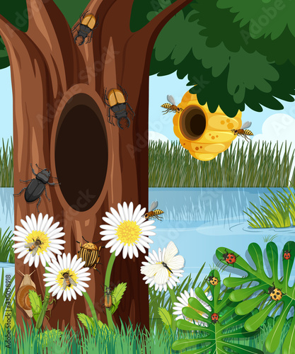 Forest scene with bee hive and other insects