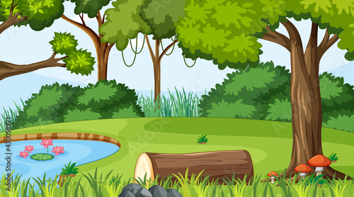 Forest landscape scene at day time with pond and many trees