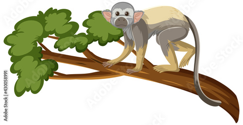 Squirrel monkey cartoon character on a branch isolated on white background