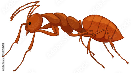 Close up of red ant in cartoon style on white background