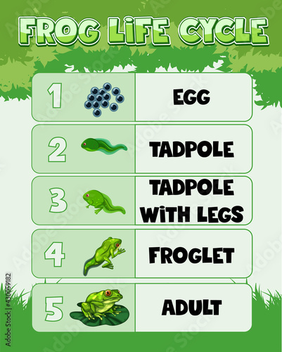 Diagram showing life cycle of Frog