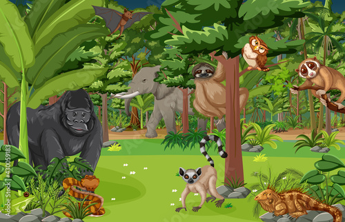 Wild animal cartoon character in the forest scene
