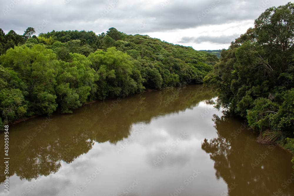 river and forest