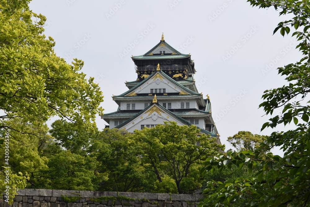 Fototapeta premium 大阪城天守閣