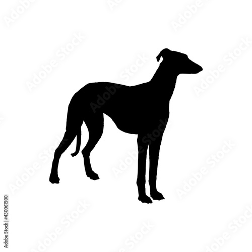Dog logo icon vector template