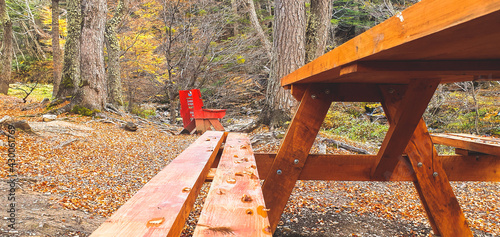 wooden bridge in the park