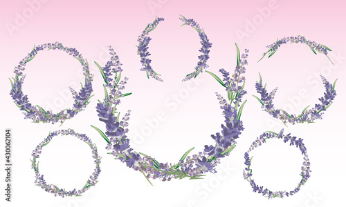 Lavender Wreath Vector Elements (ID: 430062104)