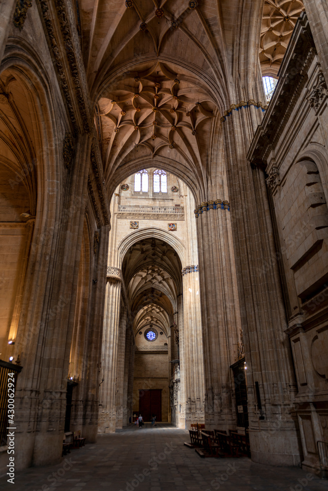 CATEDRAL NUEVA DE SALAMANCA ESPAÑA DETALLES 2021 CATEDRAL NUEVA DE SALAMANCA ESPAÑA DETALLES 2021