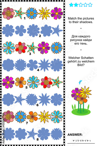 Visual puzzle or picture riddle: Match the pictures of flower rows to their shadows. Answer included.
