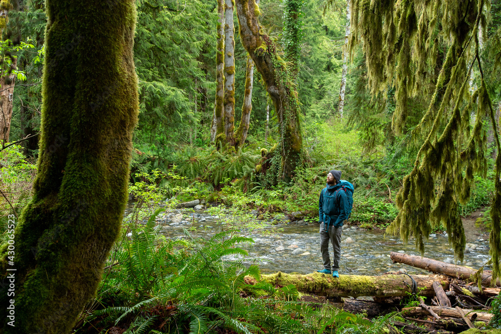 Fototapeta premium Exploring trails on Vancouver Island, Self Portraits