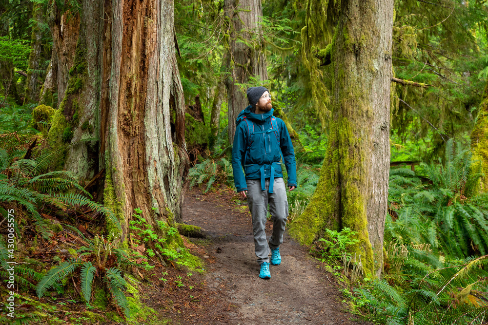 Exploring trails on Vancouver Island, Self Portraits Exploring trails on Vancouver Island, Self Portraits