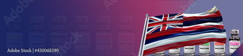 Hawaii Flag with Covid-19 Multiple Vaccines and large Gradient Single Flag 