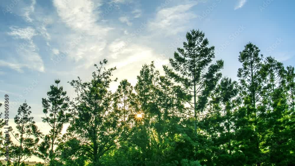 Sun rising slowly and pretty sunlight shining through green woods. Time-lapse Sun rising slowly and pretty sunlight shining through green woods. Time-lapse