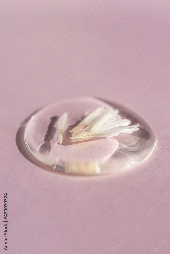 A drop of transparent cosmetic gel with echinacea on a lilac background. A drop of transparent cosmetic gel with echinacea on a lilac background.