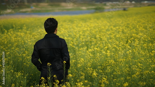 The back view of a man standing while looking at yellow rape flowers