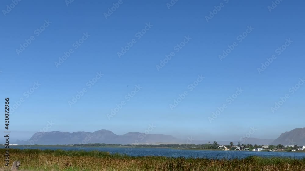 Reeds wind blown waters edge vlei , houses and mountain views Cape Peninsula Zeekoevlei , pond or lake Reeds wind blown waters edge vlei , houses and mountain views Cape Peninsula Zeekoevlei , pond or lake