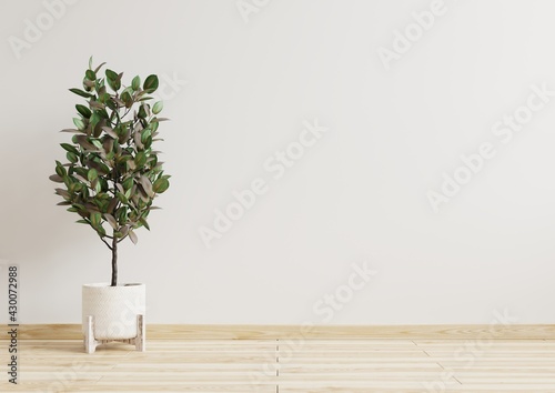 Fototapeta Naklejka Na Ścianę i Meble -  Empty room white walls with beautiful plants sideways on the floor.3d rendering.