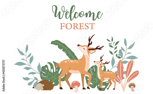 Collection of woodland background set with leaf,flower,animal.Editable vector illustration for website, invitation,postcard and poster