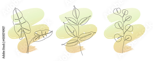 Set of tropical plant leaves in one lineart style. Vector Minimal posters in continuous line drawing with abstract organic shapes. Can be used for wall art decoration, logo, emblem, card