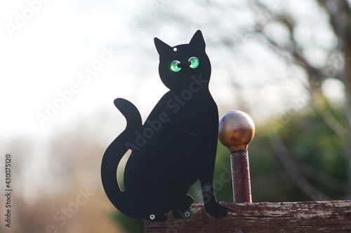 cat on the tree