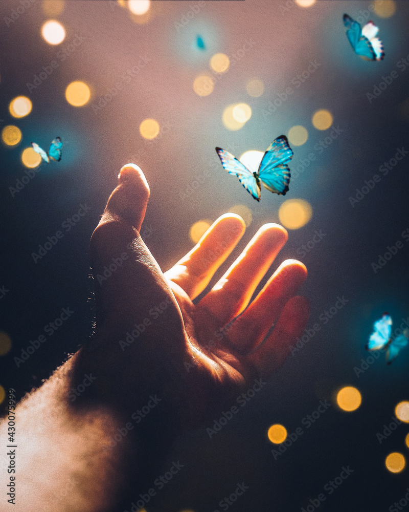Hand and Butterfly Stock Photo | Adobe Stock