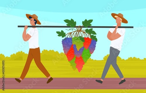 Male characters picking grapes on vineyard plantation. Farmers collecting ripe grapes autumn harvest, carry large bunch on their shoulders. Winery production. Working on counrtyside, harvest time