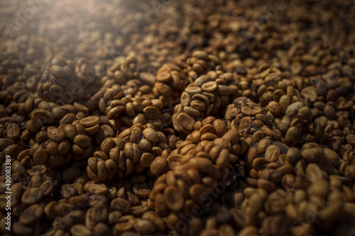 Kopi luwak or civet coffee, coffee beans excreted by civet.