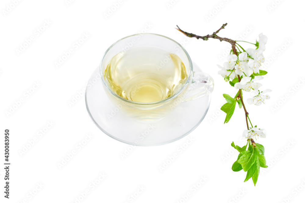 Green tea in a glass cup with branch of blossoming cherry tree isolated on a white background. Green tea in a glass cup with branch of blossoming cherry tree isolated on a white background.