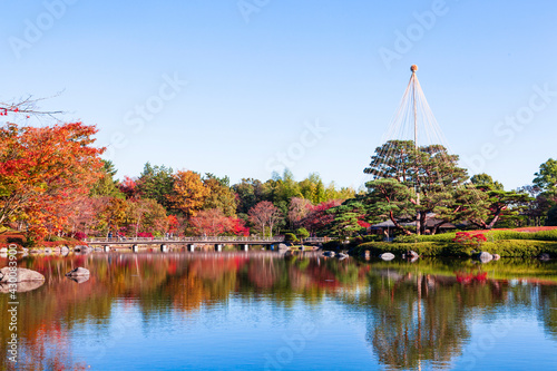 Japanese garden in Showa Memorial Park,Tachikawa,Tokyo,Japan.