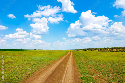 Road through green field