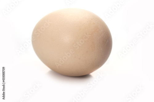 Raw Egg isolated white background