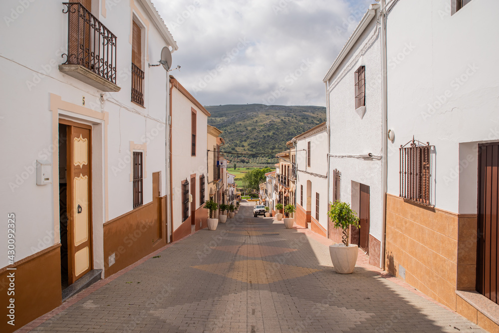 The main street with red flowers in a small town of Andalusia Almargen 