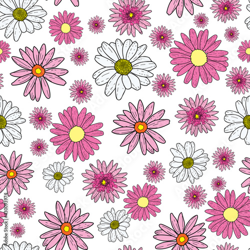 Vector white background pink daisy flowers and wild flowers. Seamless pattern background