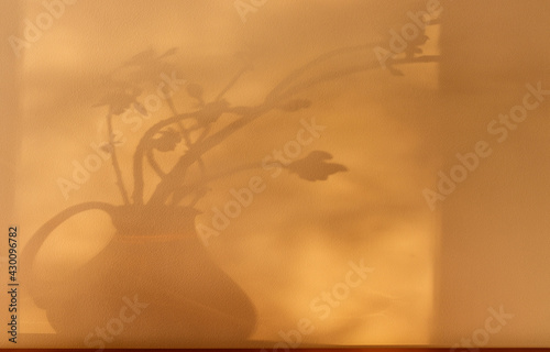 Shadows of plants. Horse chestnut tree buds on sunny April day. Growing leaves in a glass vase.