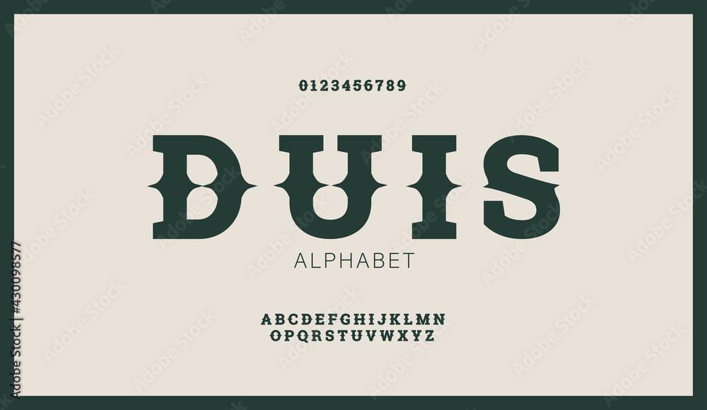 Modern stylized flat alphabet fonts in west retro style. Creative vintage font typeface for labels, flyers, headlines, posters or whiskey brand. - obrazy, fototapety, plakaty 