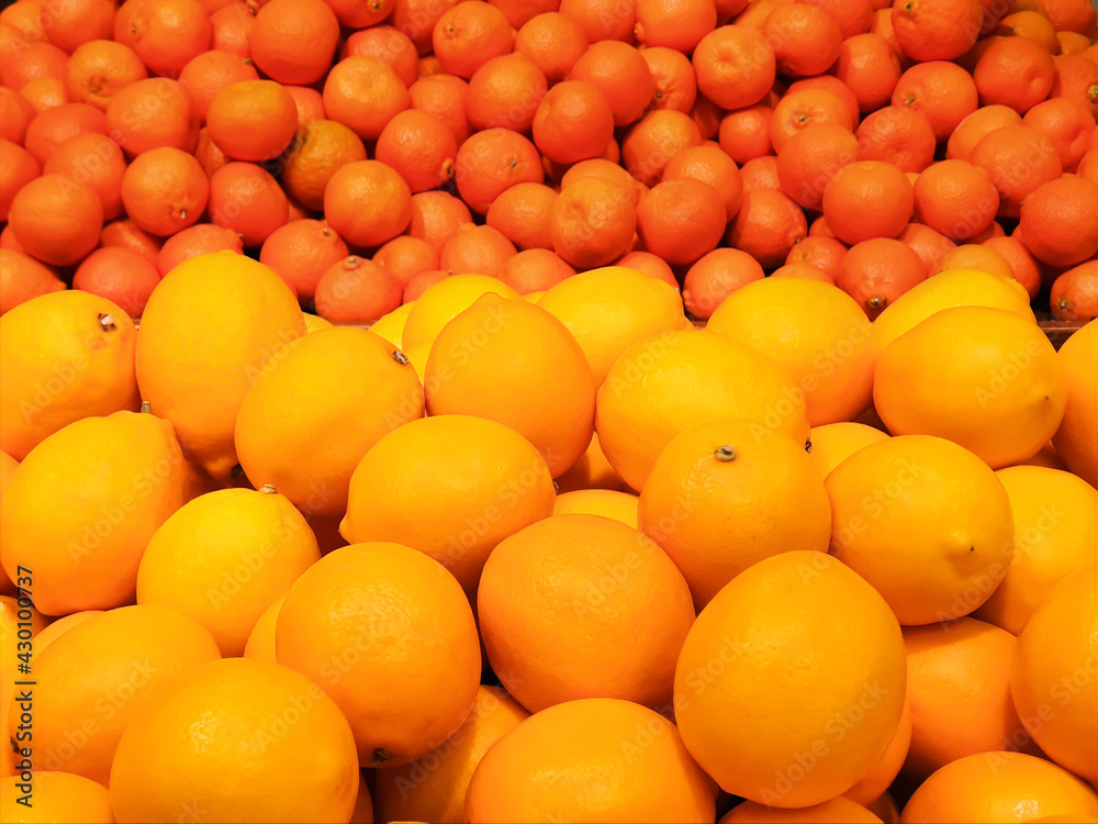 Ripe yellow lemons and mandarins close-up background or Texture. Lemon and Tangerines harvest, many yellow and orange lemons and mandarins.