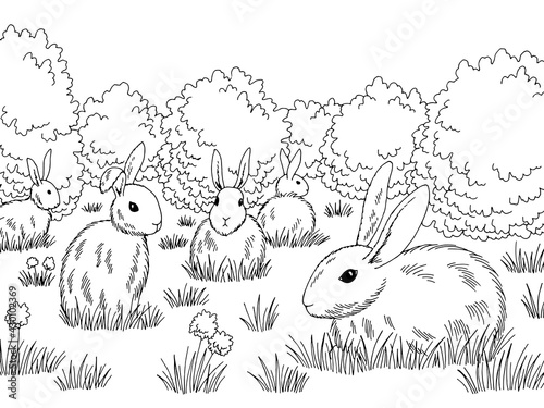 Rabbits in a meadow graphic black white sketch illustration vector
